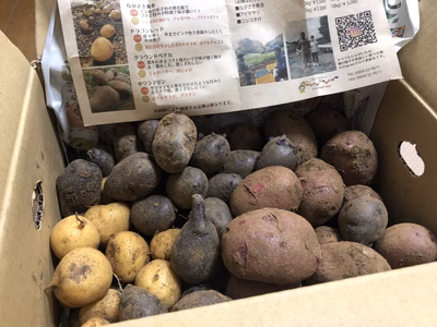 みんなの投稿の画像