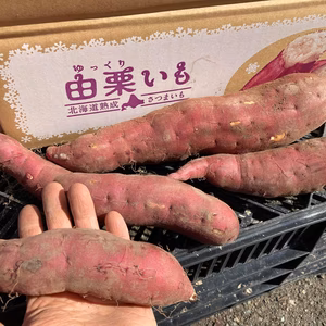 由栗いも（べにあずま）5kg～【Ｓ＆２Lサイズ】