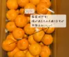 【完熟有田みかん】宮川早生3キロ2S　家庭用　低農薬　温州みかん  早生みかん