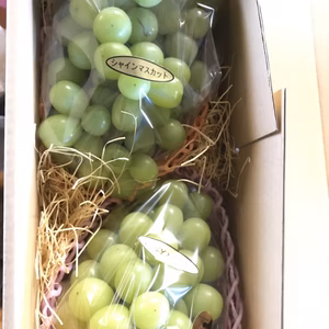 シャインマスカット2房(1.7から2キロ前後)