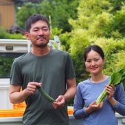 根付きパクチー 野菜セット ８点 80サイズ 農薬 化学肥料不使用 農家漁師から産地直送の通販 ポケットマルシェ