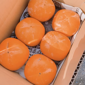 お試し&送料無料＊ご家庭用紀の川柿　