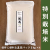 ◆特別栽培米◆駒義 真空パックでお届け 20kg