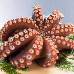 夏が旬　南三陸産　茹でミズタコ　足　300g×2パック　