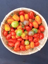 〈無農薬〉幸せカラフルmixミニトマト