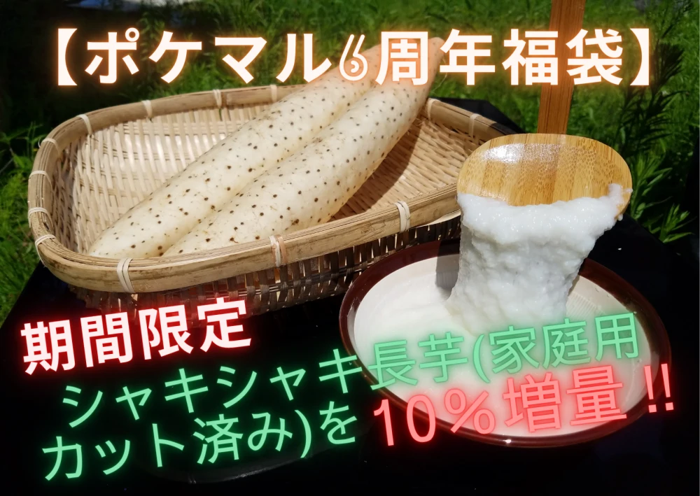 【6周年福袋】10％増量!青森県特産シャキシャキ長芋 家庭用カット済み