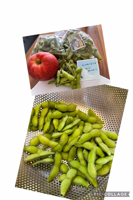 みんなの投稿の画像