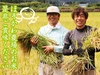  【定番人気】令和2年産新潟県長岡産コシヒカリ玄米25kg