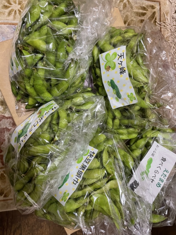 超希少 キダチトウガラシ とハラペーニョセット 農家漁師から産地直送の通販 ポケットマルシェ
