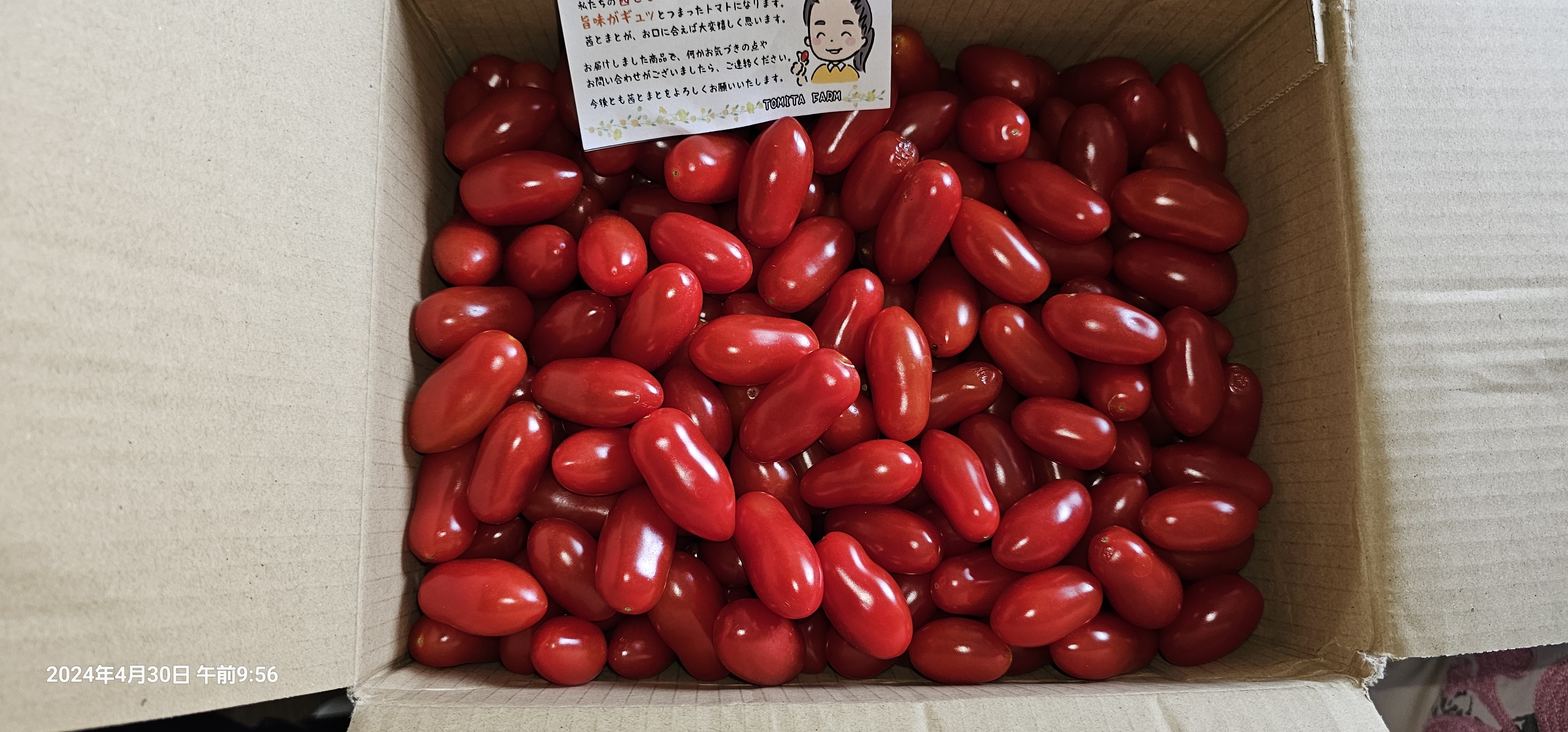 熊本県熊本市｜トミタ農園｜冨田伴宜さんのみんなの投稿｜ポケット