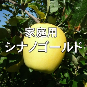 数量限定！【家庭用】シナノゴールド 約2kg～ 信州りんご 