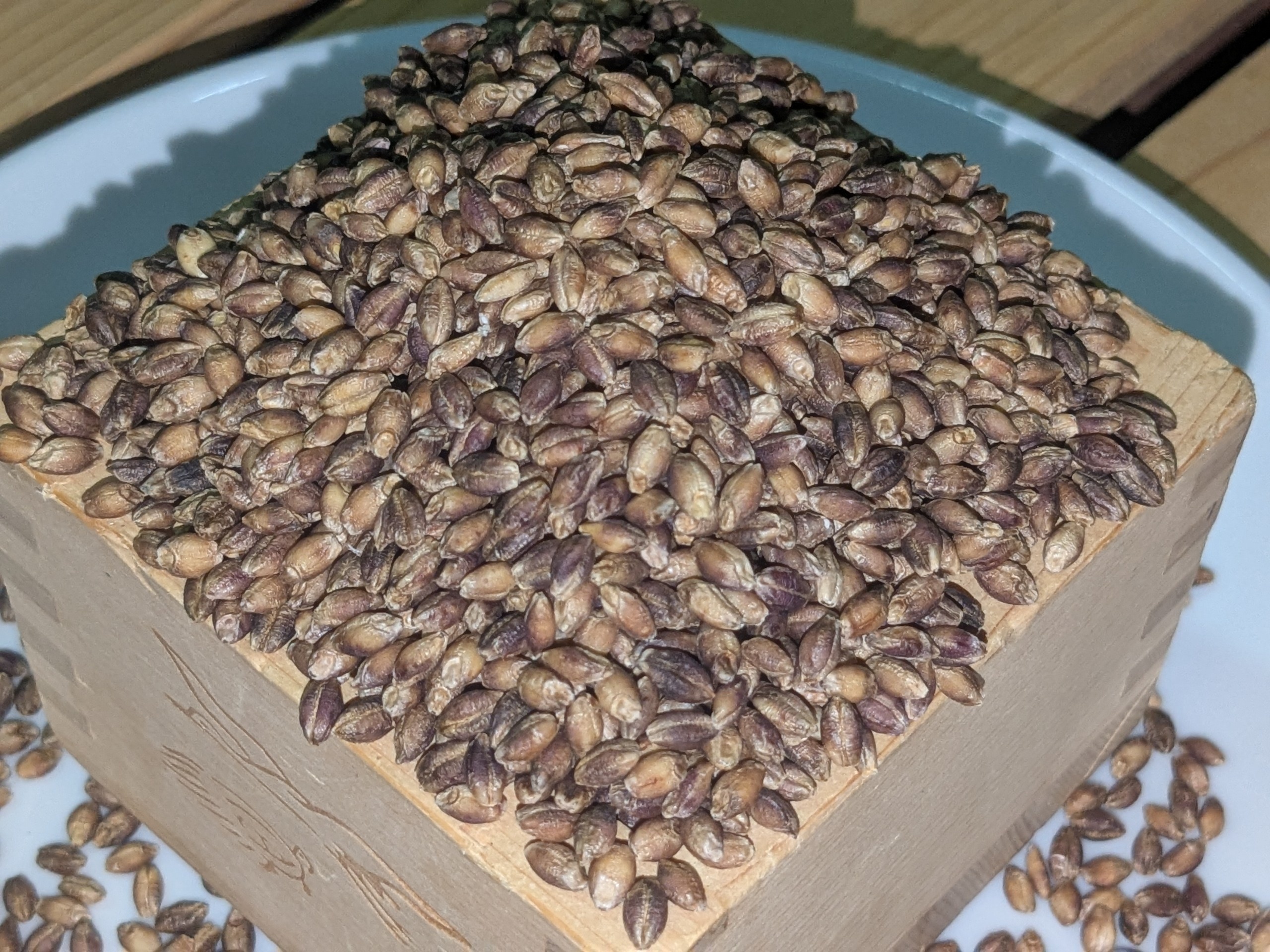 2025年収穫分！プチプチした食感！！ポリフェノールで色づいた紫のもち