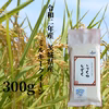 リピーター最多！茨城県産ミルキークイーン「しづくのしずく」300g（２合サイズ）