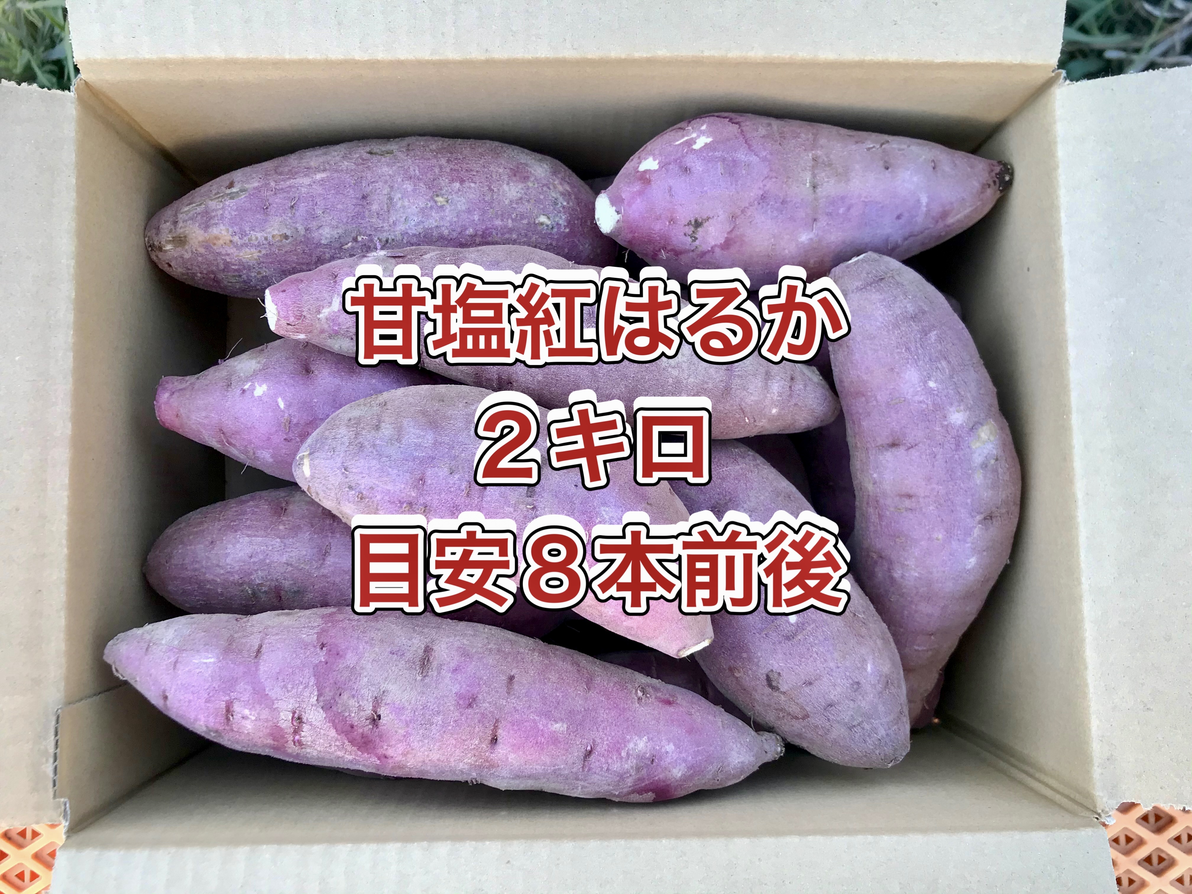 鹿児島県産 熟成 紅はるか 2S 箱込20キロ b - 野菜