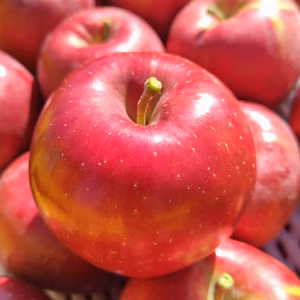 減農薬！信州麻績村産シナノスイート