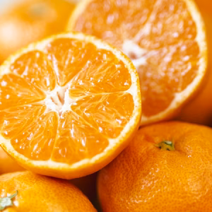 殿堂入り記念セール　みかんＳサイズ　記念価格