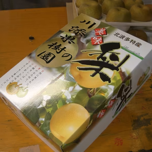 二代目川添果樹園のシャキシャキ幸水梨