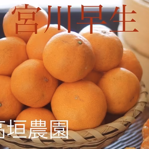 完熟紀南みかんL【宮川早生】早生みかん5k