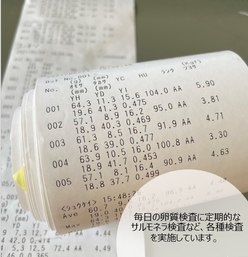 スモールサイズの人気者 90個 名古屋コーチンの小さ目タマゴ 農家漁師から産地直送の通販 ポケットマルシェ