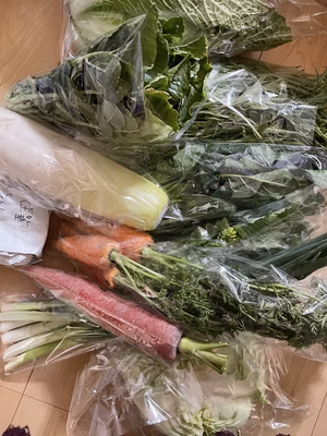 みんなの投稿の画像