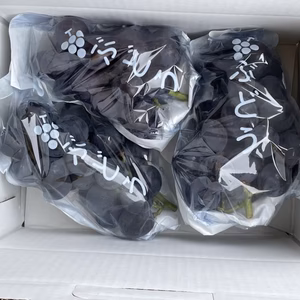 糖度20度超え極甘 種ありぶどう"巨峰" (約1kg)