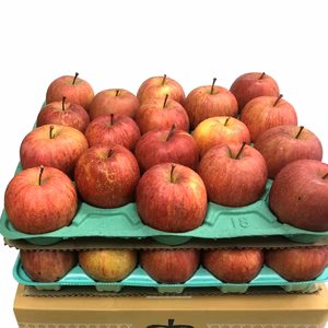 ドッドーンと大盛り「ナイス!!サンふじ!!」 青森県産【家庭用】