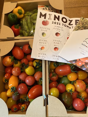 みんなの投稿の画像