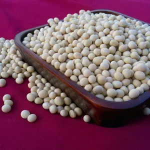 大豆の希少品種のナカセンナリ 1Kg、無農薬