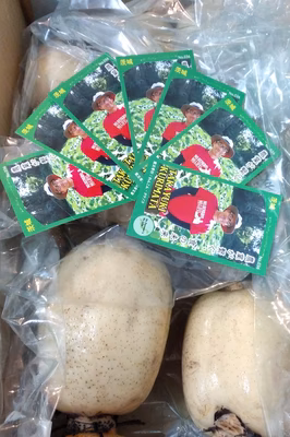 みんなの投稿の画像