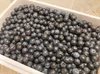 冷凍「ブルーベリー」 そのまま食べても美味しいです♪