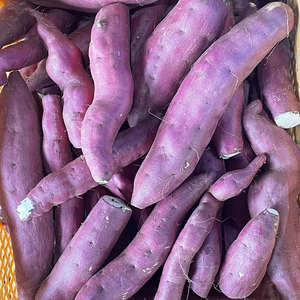 ✨紅あずま‼️ B品✨️