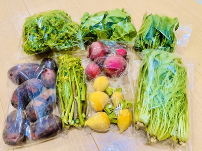 みんなの投稿の画像