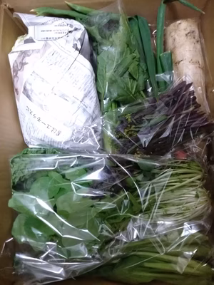 みんなの投稿の画像