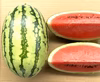 【8周年福袋・2玉セット】シャキシャキ食感の小玉スイカ