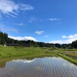 小島哲也