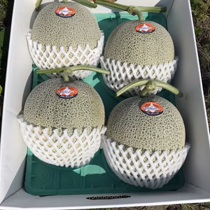 【甘さもサイズもビッグ】富良野メロン（赤肉）４か５玉　贈り物やご自身へのご褒美に