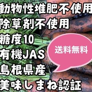 【有機人参5kg】糖度10美味【オーガニック】全国一律送料無料