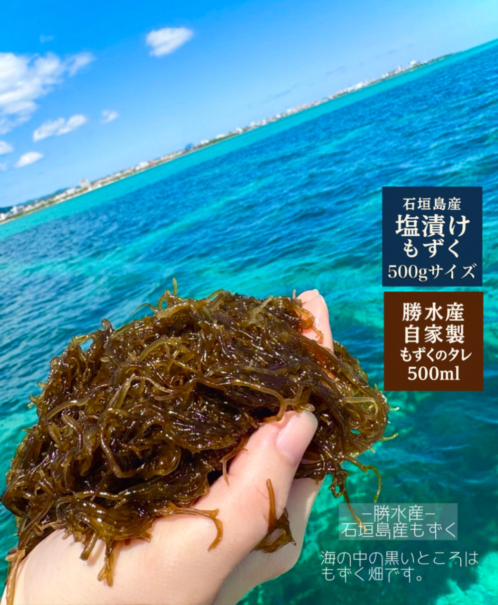 石垣島産　塩漬けもずく　20kg 初物石垣島産塩漬けもずく一斗缶18kg