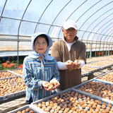 山西一善 | 株式会社紀州本庄うめよし