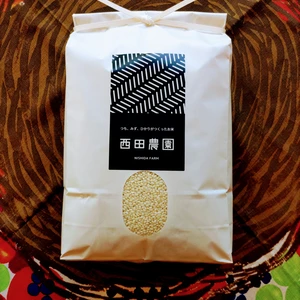 一等米【米ぬか1kg&精米10kg】令和5年産・特別栽培米コシヒカリ・有機