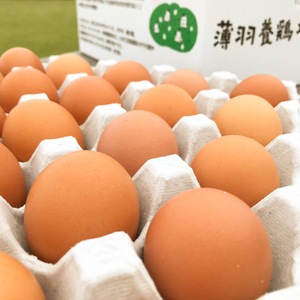 【赤たまご50個】納豆菌の仲間、『枯草菌』で育てた鶏のたまご50個