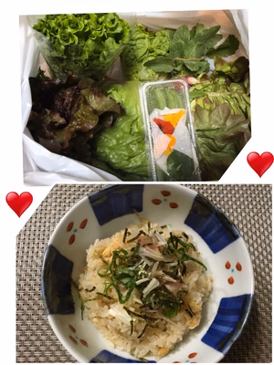 みんなの投稿の画像