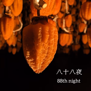 【八十八夜の蜂屋柿】自然乾燥干し柿 個包装パック10個より　※化粧箱無し