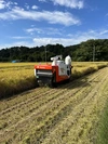 R5年産　あきたこまち  白米　約10kg 
