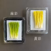 九条ねぎから生まれた、唯一の軟白芽ねぎ【九条の万葉芽ねぎ（⻩彩 ŌSAI ）】