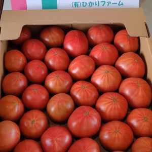 わんぱく深層水トマト！説明文を読んでね！！