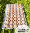 1回/月の定期便！スモールサイズでお買得‼名古屋コーチンのタマゴ45個