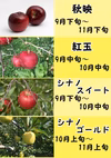 長野産 秋映 訳あり 小玉 15kg 減農薬 葉とらず9月中旬頃出荷開始予定