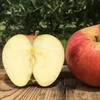 夏りんごと言えば りんご 超訳あり小玉 サンつがる 約4.5キロ 復興 予約特典