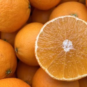 岩城島のハウスまどんな